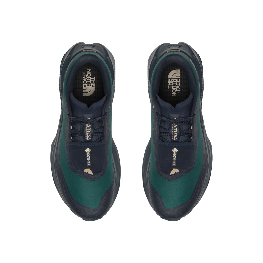 The North Face Men's Altamesa 500 V2 GORE-TEX Trail Shoe