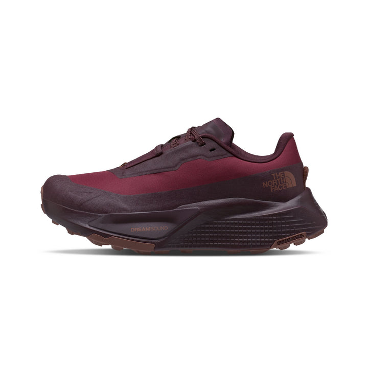 The North Face Women's Altamesa 500 V2 GORE-TEX Trail Shoe