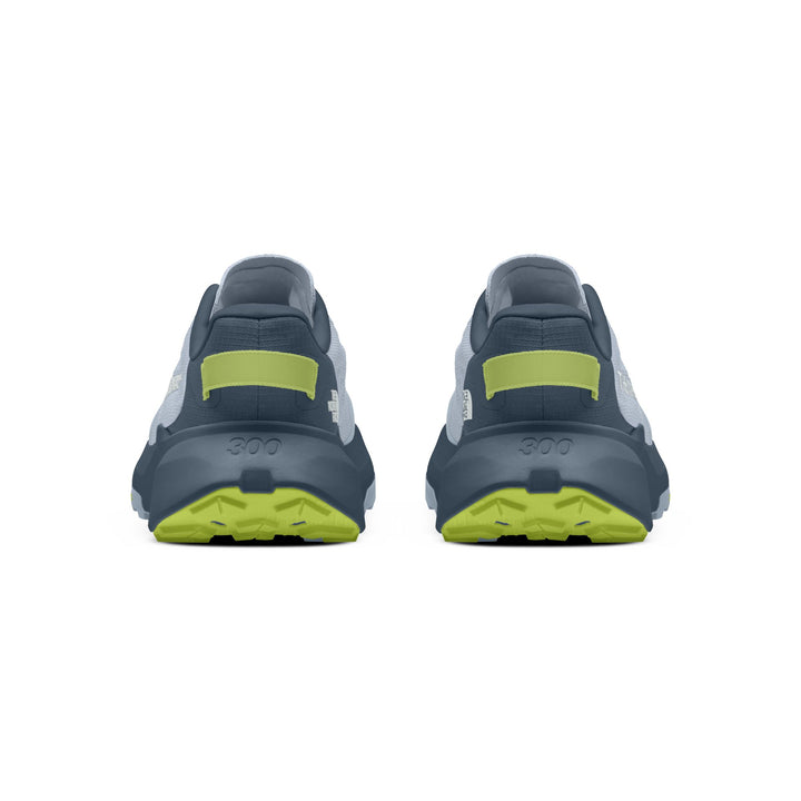 The North Face Men's Altamesa 300 V2 Trail Shoe