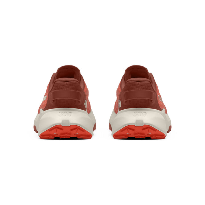 The North Face Men's Altamesa 300 V2 Trail Shoe