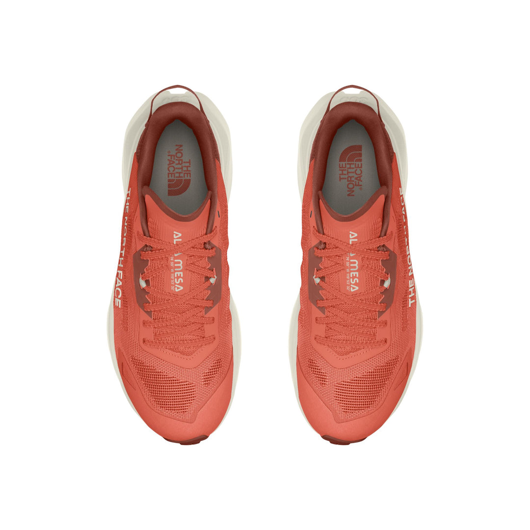 The North Face Men's Altamesa 300 V2 Trail Shoe