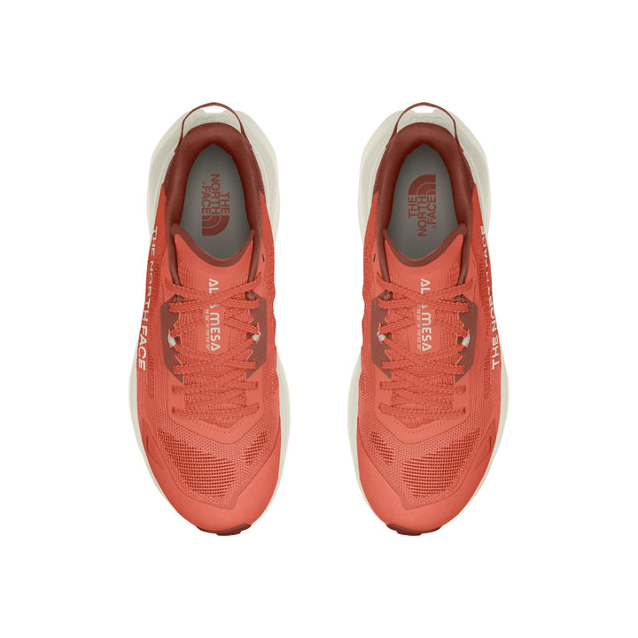 The North Face Men's Altamesa 300 V2 Trail Shoe