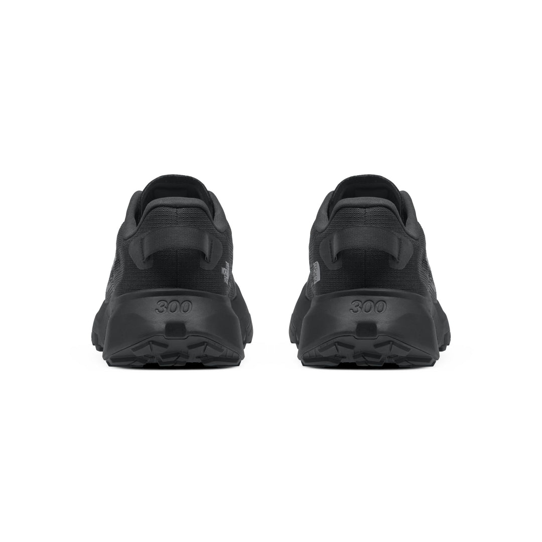 The North Face Men's Altamesa 300 V2 Trail Shoe