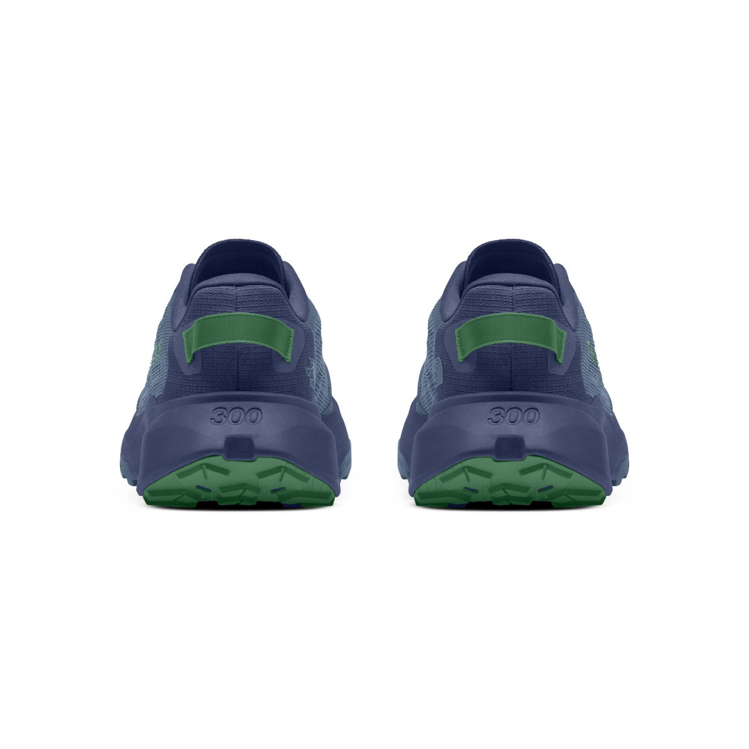 The North Face Men's Altamesa 300 V2 Trail Shoe