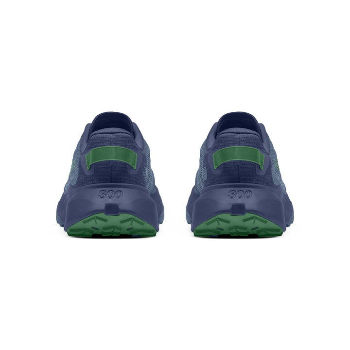 The North Face Men's Altamesa 300 V2 Trail Shoe