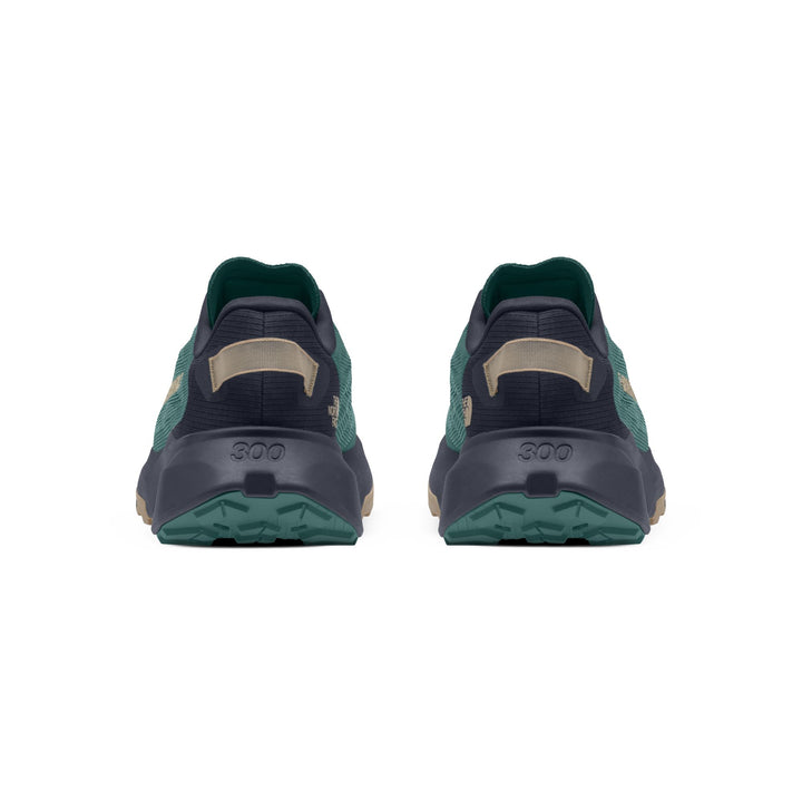 The North Face Men's Altamesa 300 V2 Trail Shoe