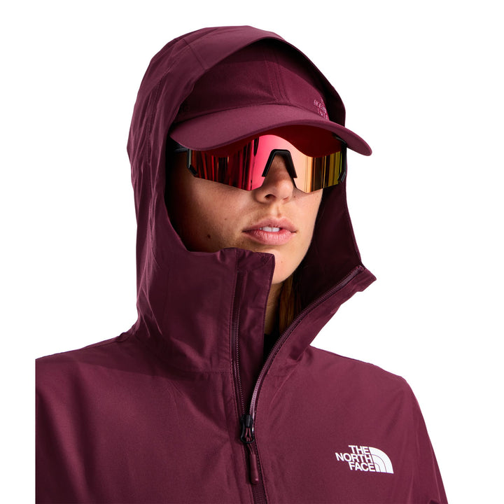 The North Face Women's DRYVENT Hikesteller Parka