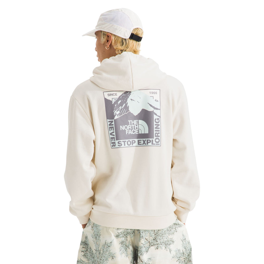 The North Face Men's Mountain Scape Regular Hoodie