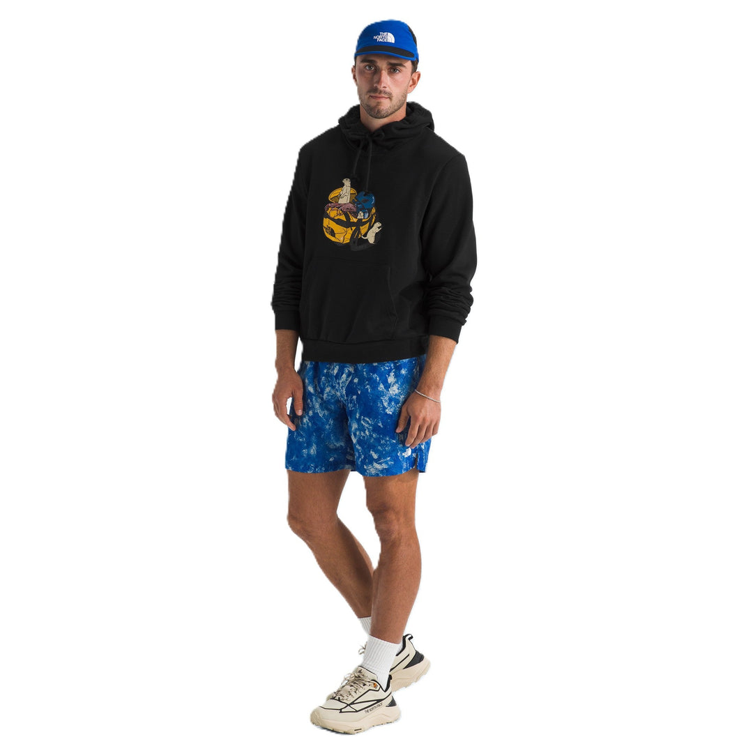 The North Face Men's Woodland Wanderer Regular Hoodie