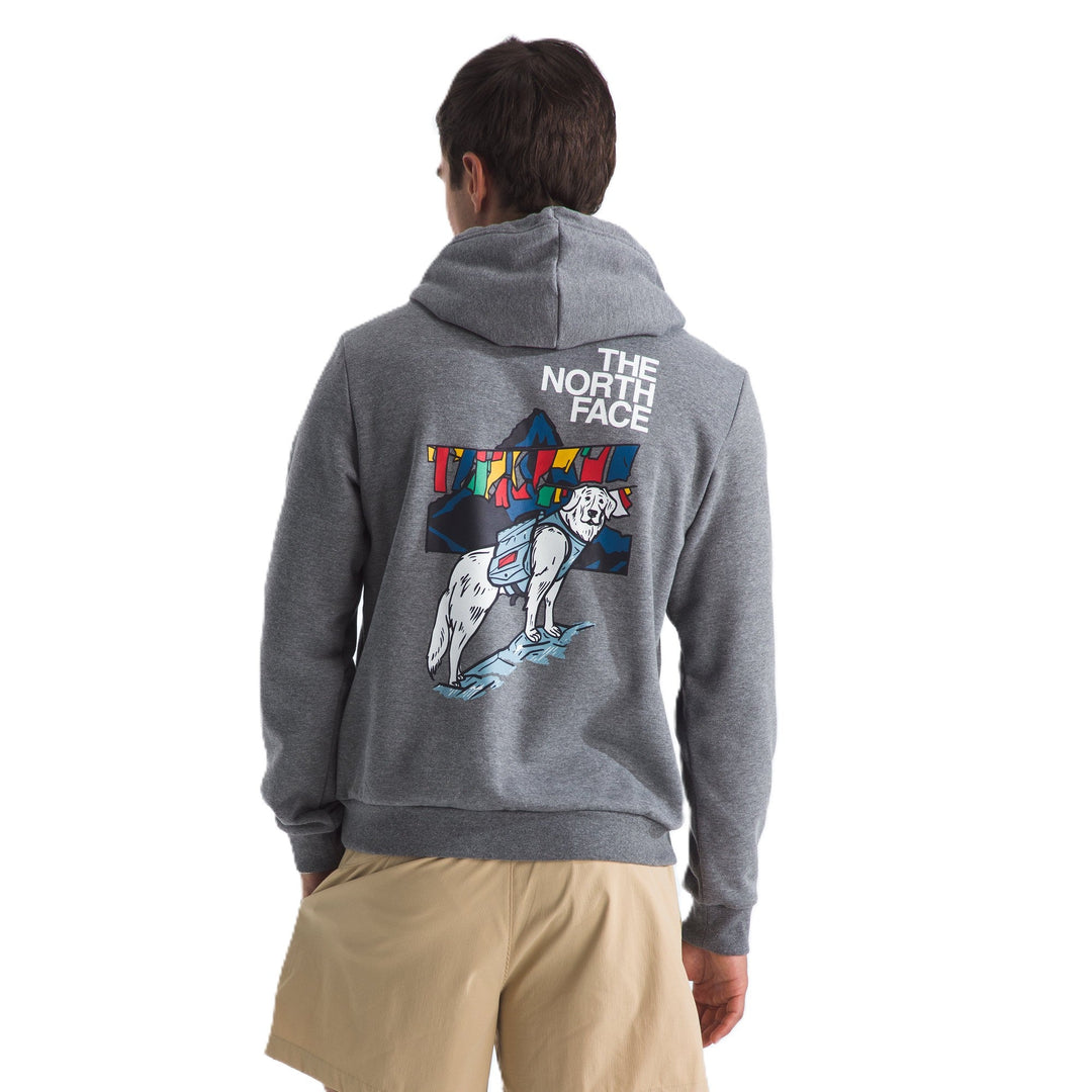 The North Face Men's Sunlit Summit Series Regular Hoodie