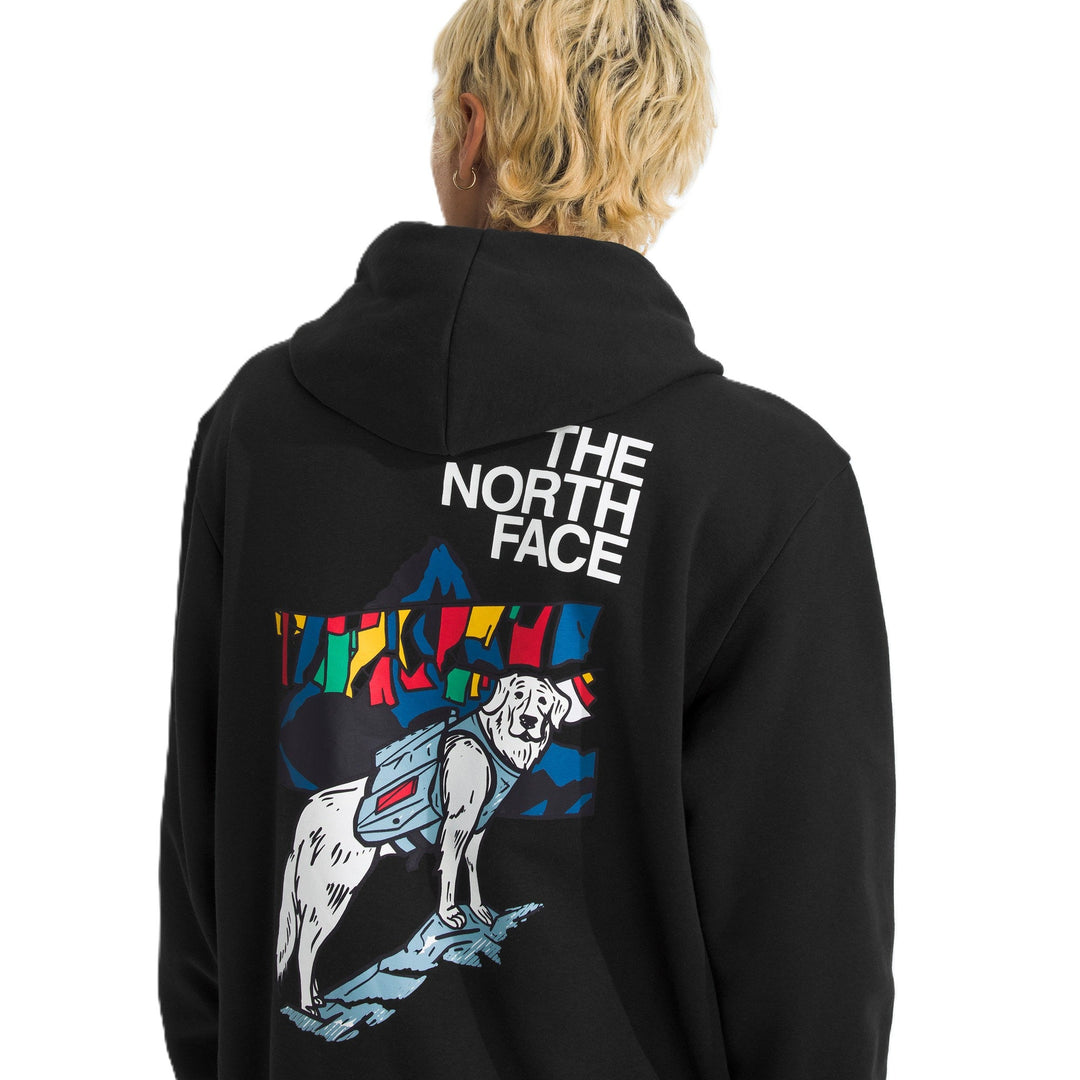 The North Face Men's Sunlit Summit Series Regular Hoodie