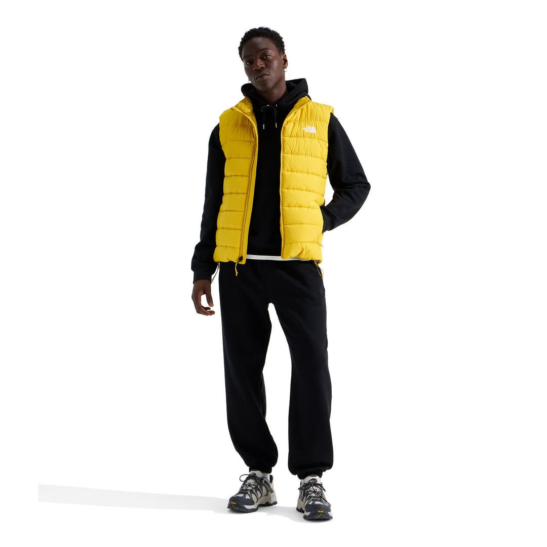 The North Face Men's Aconcagua Vest