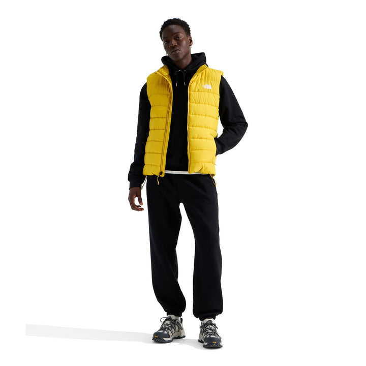 The North Face Men's Aconcagua Vest