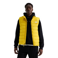 Pigment Yellow