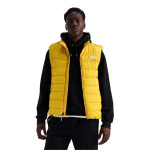 Pigment Yellow