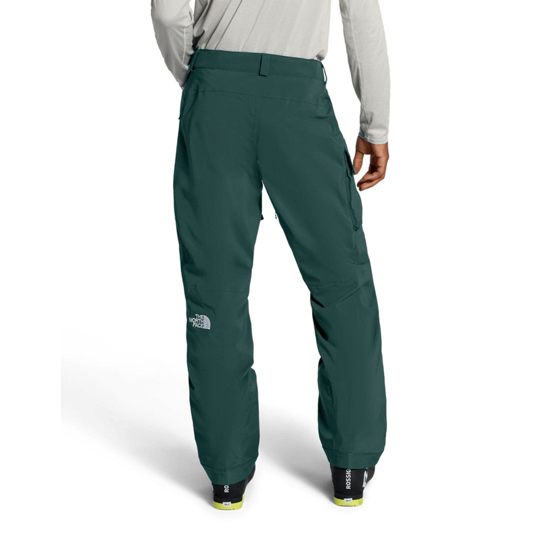 The North Face Men's Freedom Pant