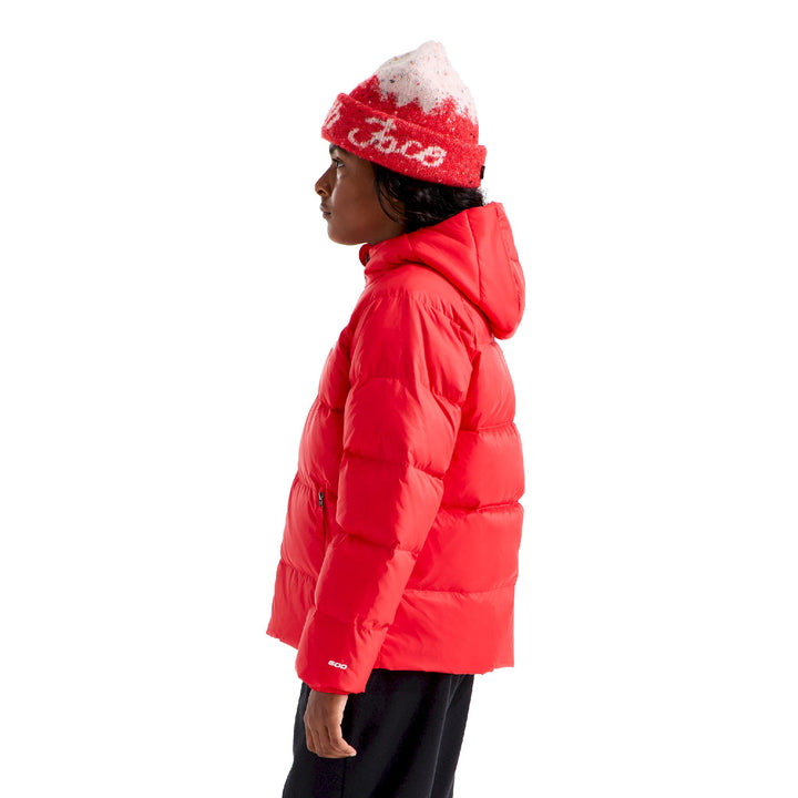 The North Face Boys' Hydrenalite Down Hooded Jacket