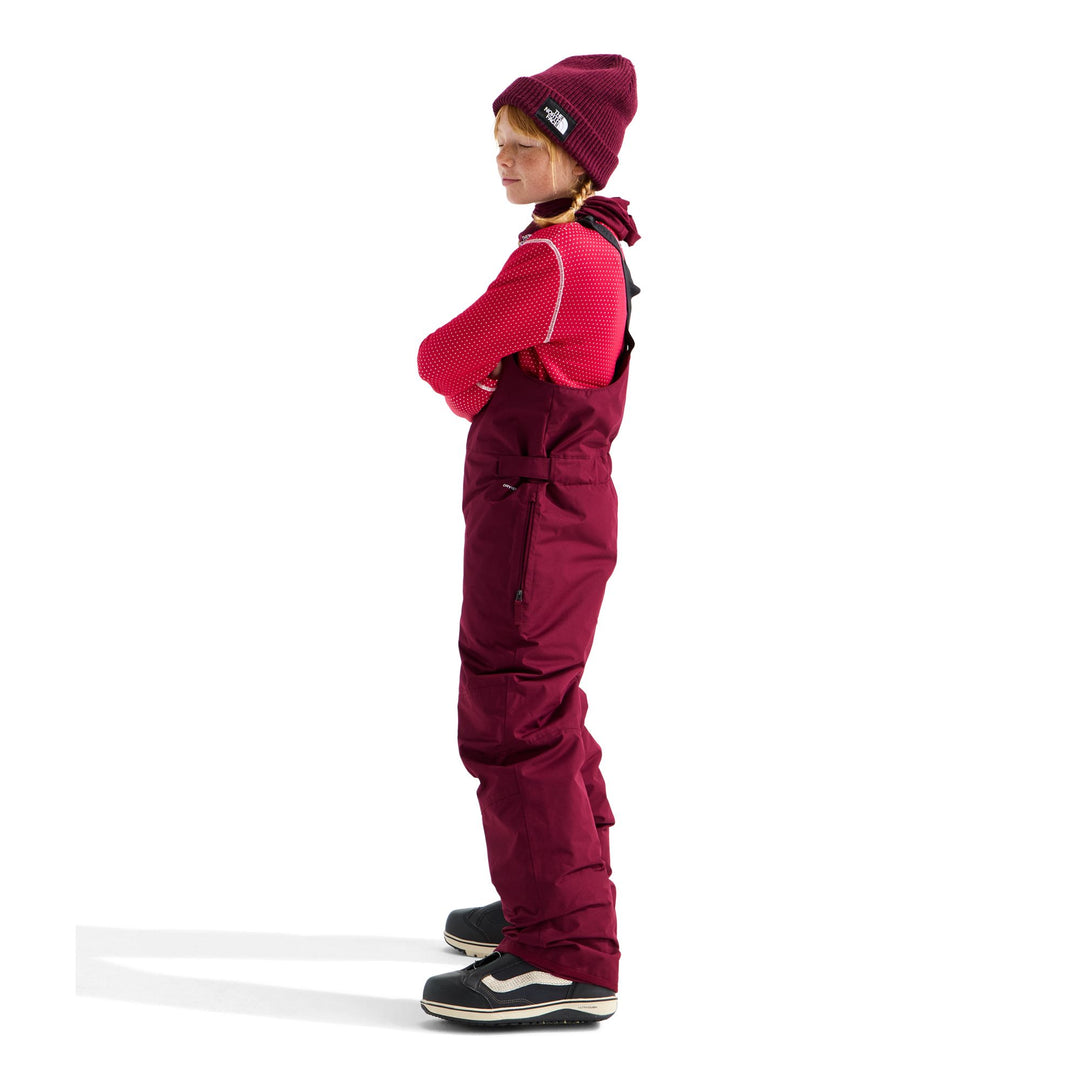 The North Face Teen Freedom Insulated Bib