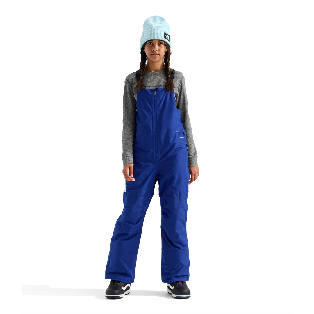 The North Face Teen Freedom Insulated Bib