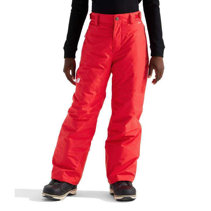 The North Face Boys' Freedom Insulated Pant
