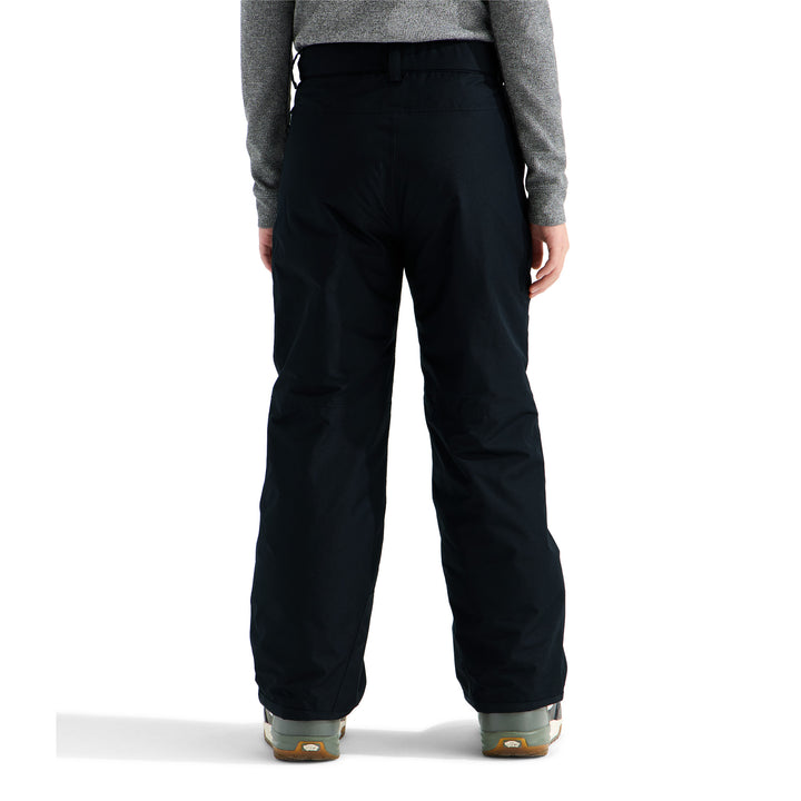 The North Face Boys' Freedom Insulated Pant