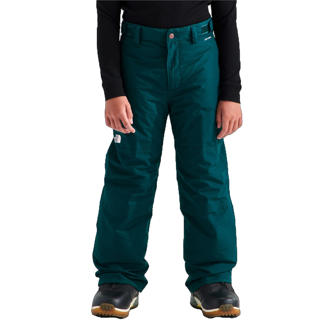 The North Face Boys' Freedom Insulated Pant