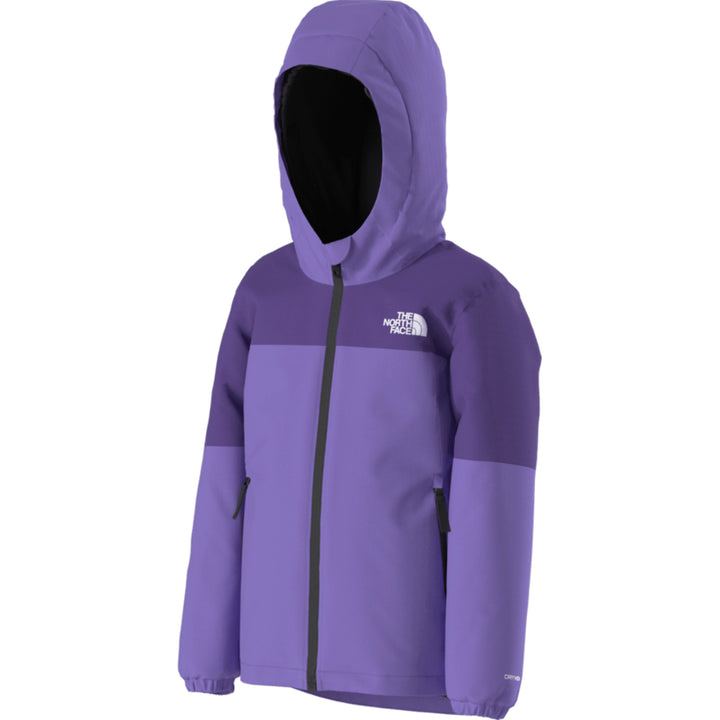 The North Face Kids' Freedom Insulated Jacket