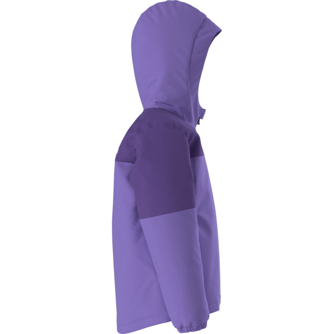 The North Face Kids' Freedom Insulated Jacket