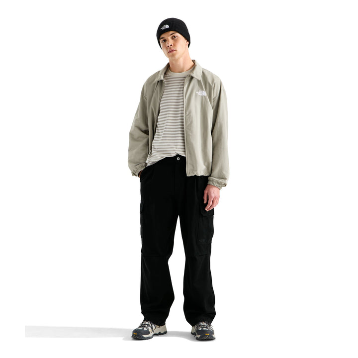 The North Face Men's Beta Cargo Pant