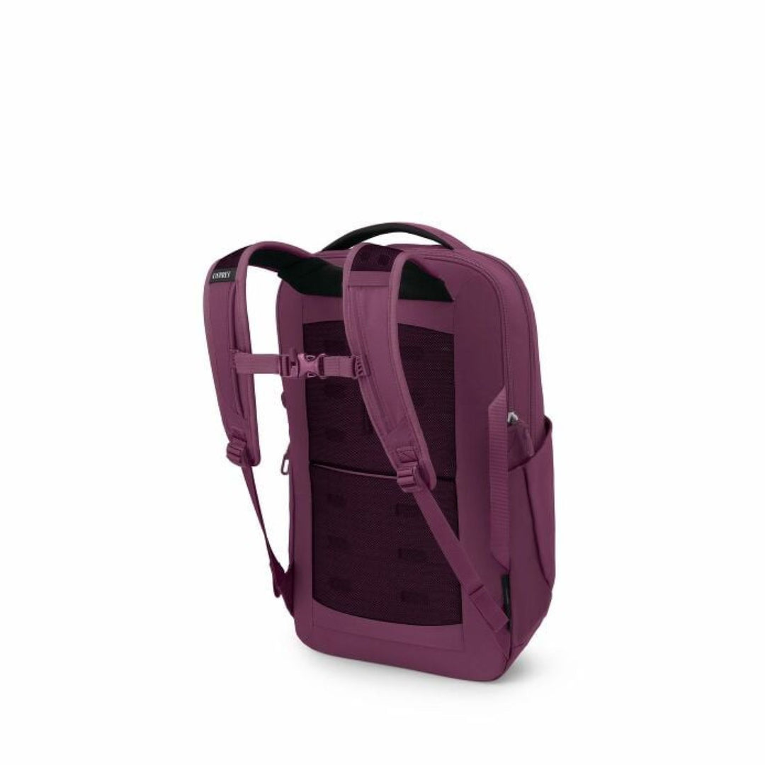Osprey Ozone Laptop Backpack