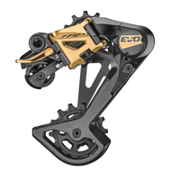 Black / Gold