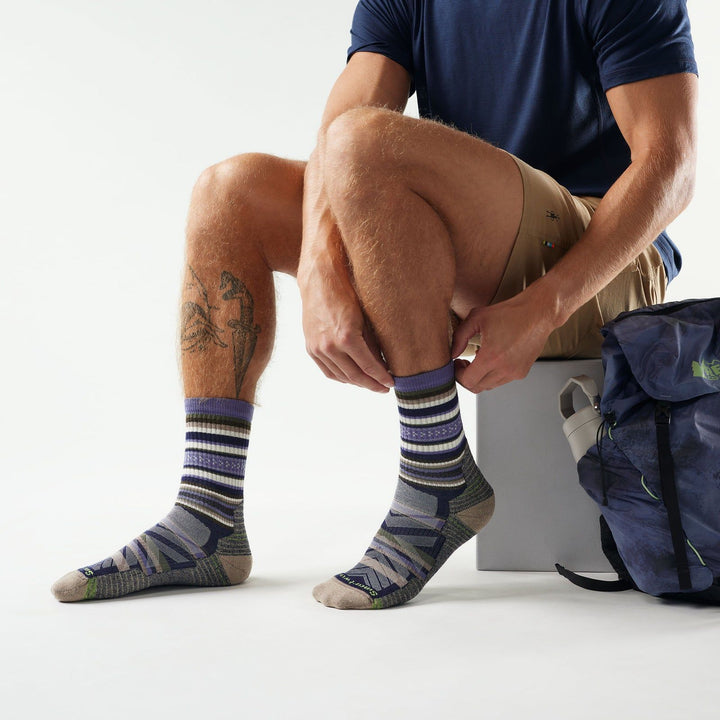 Smartwool Hike Light Cushion Panorama Crew Socks