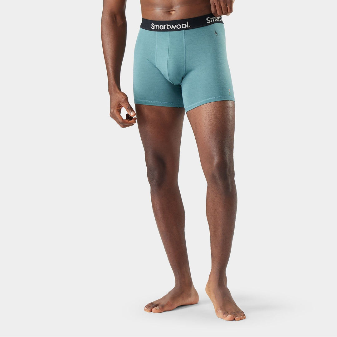 Smartwool Men's Everyday Merino Boxer Brief Boxed
