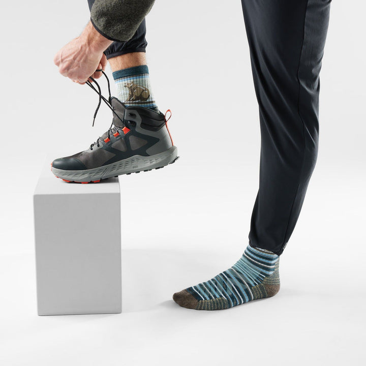 Smartwool Hike Targeted Cushion Bear Stripe Mid Crew Socks