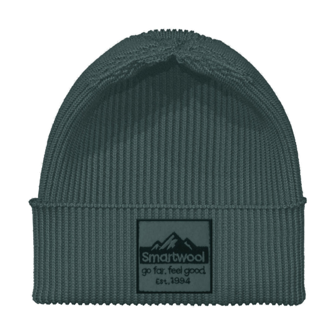 Smartwool Patch Beanie