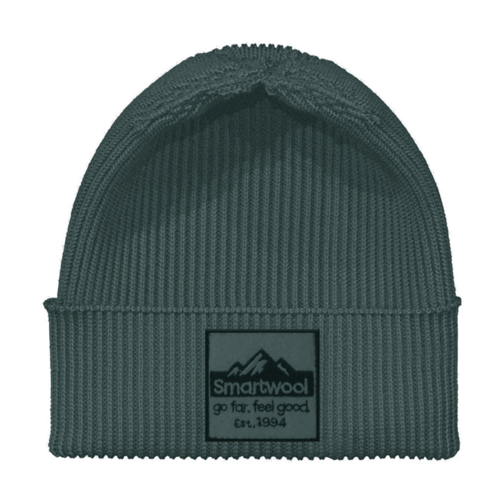 Smartwool Patch Beanie