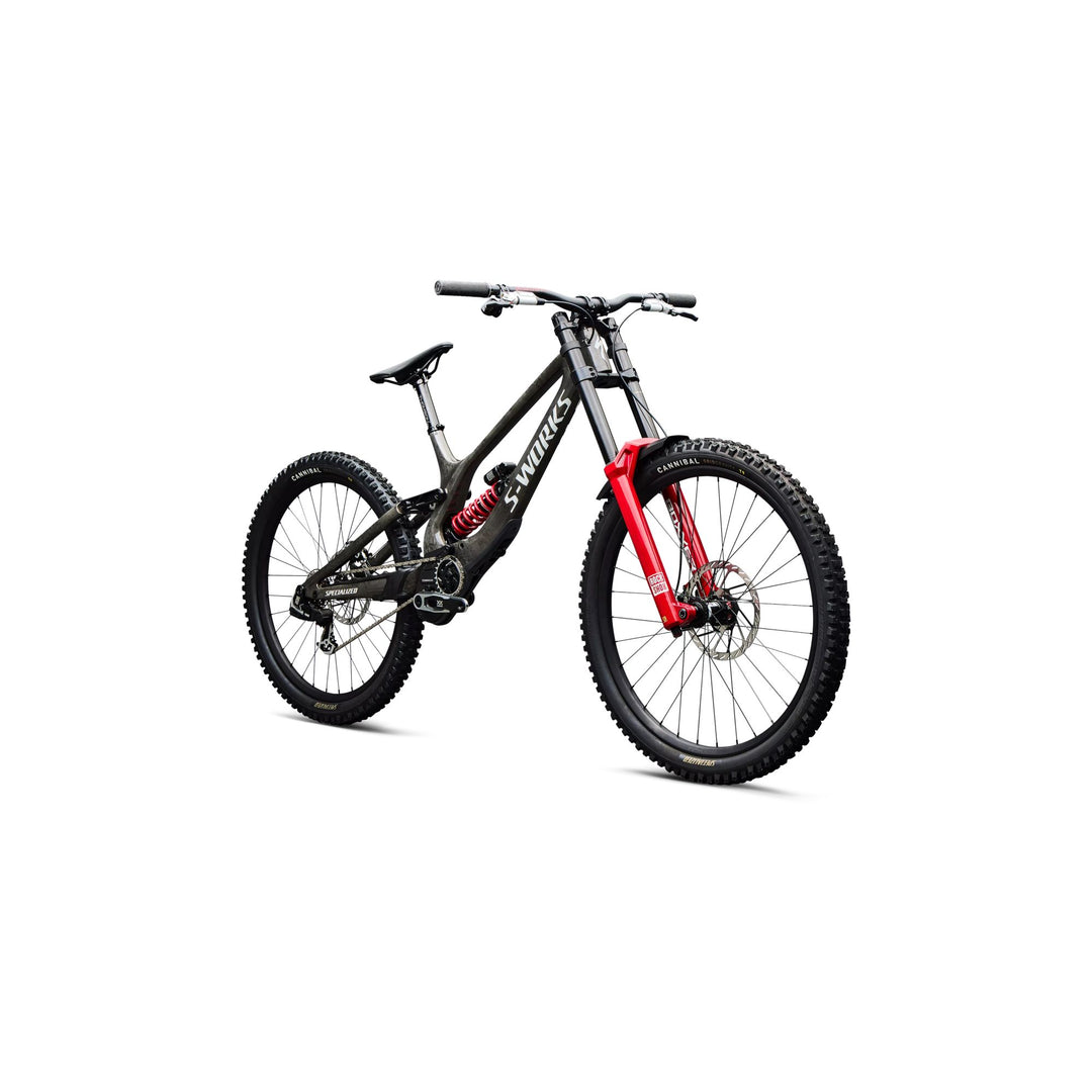 2027 Specialized S-Works Demo 11