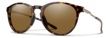 Smith Wander Goggles