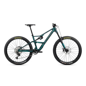 Escape Green - Carbon View Gloss