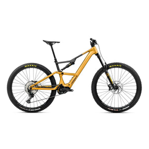 Bumblebee Yellow - Black (Matt)