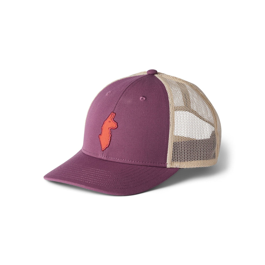 Cotopaxi Llama Trucker Hat