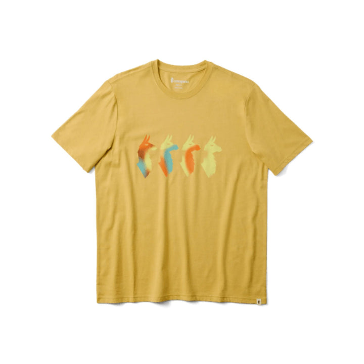 Cotopaxi Cuatro Bitmap Shirt