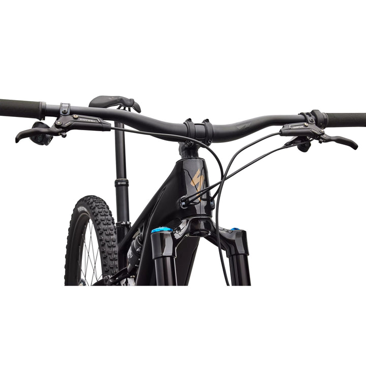 2026 Specialized Turbo Levo R Expert