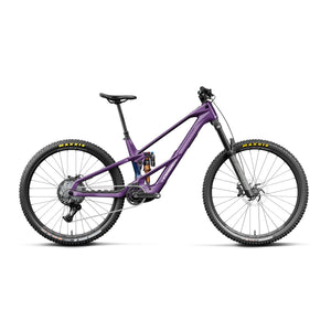 Royal Plum/Noctiluca Carbon