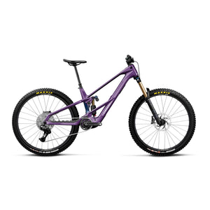 Royal Plum/Noctiluca Carbon