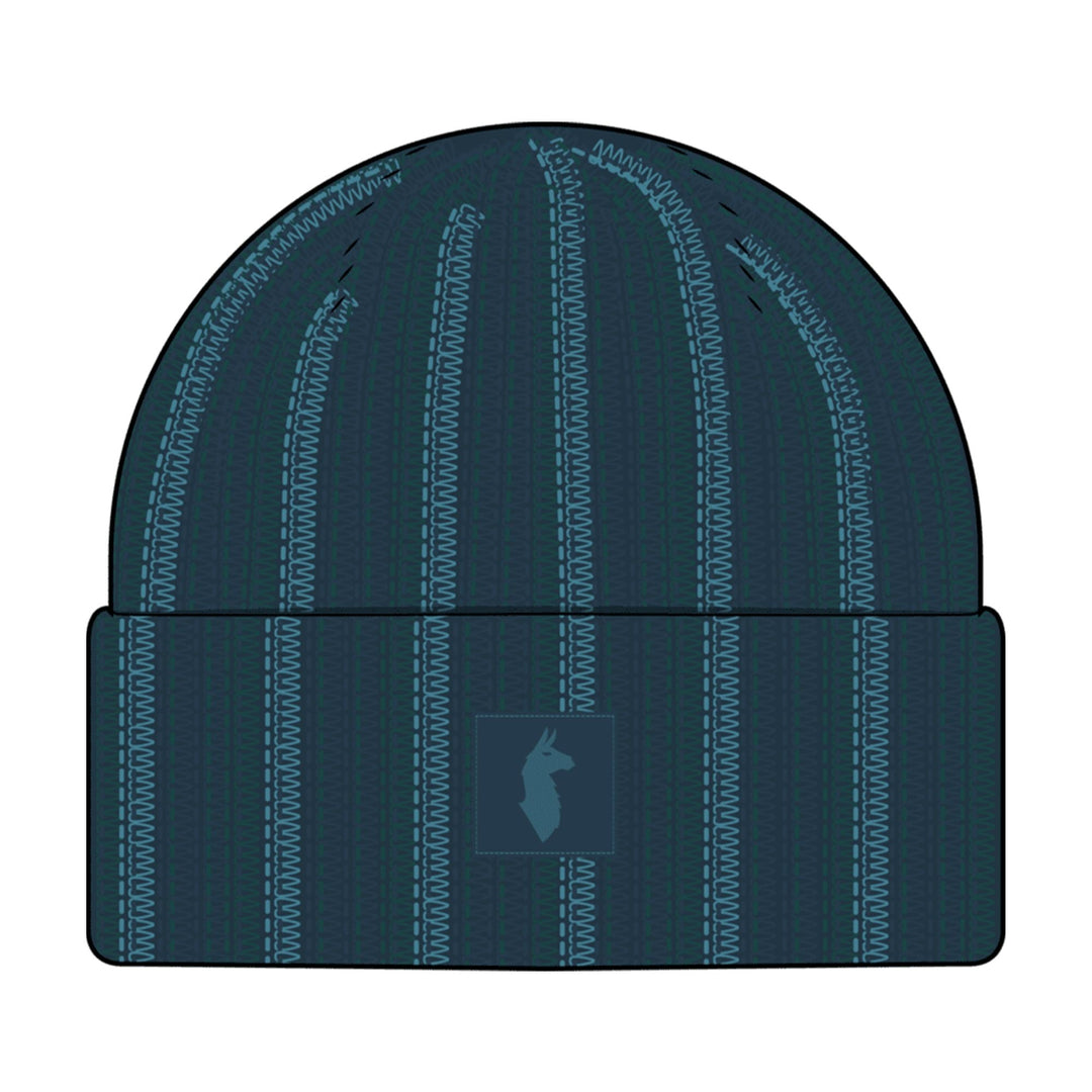 Cotopaxi Vertical Stripe Beanie