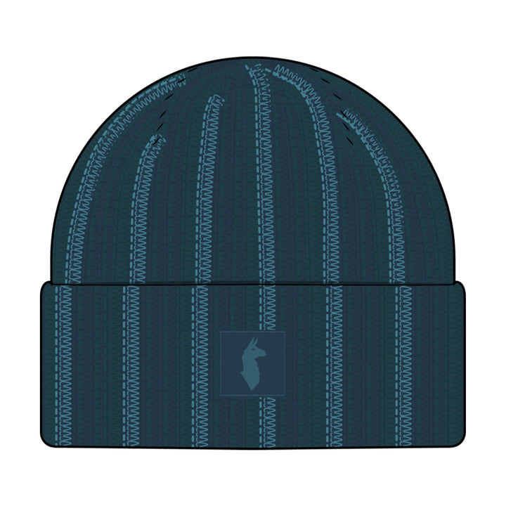 Cotopaxi Vertical Stripe Beanie