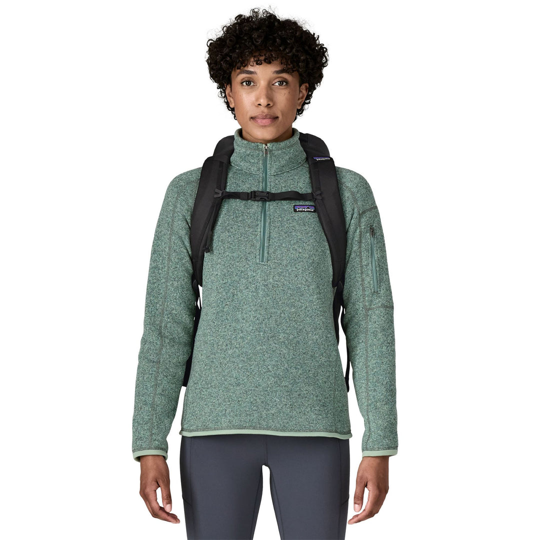 Patagonia Black Hole Pack 25L