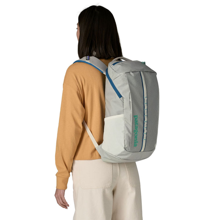 Patagonia Black Hole Pack 25L