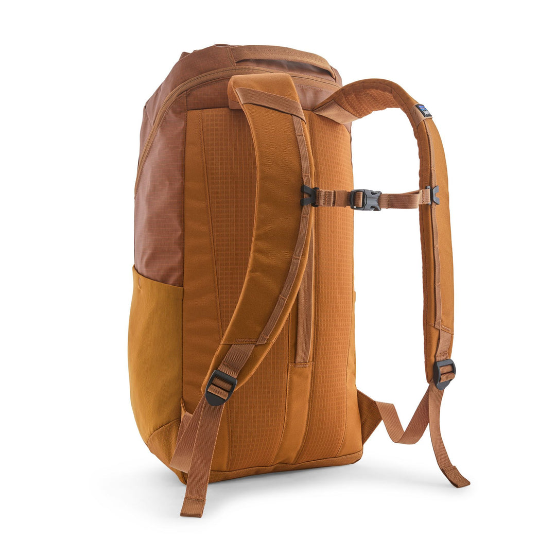 Patagonia Black Hole Pack 25L
